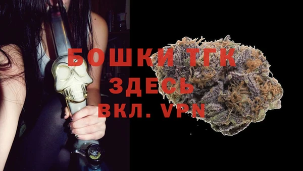 стаф Алексин