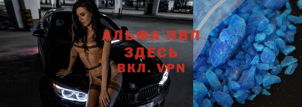 стаф Алексин