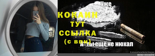 стаф Алексин