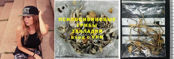 стаф Алексин